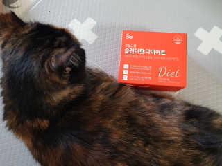 솔탄이love님이 올린 리뷰 사진 2