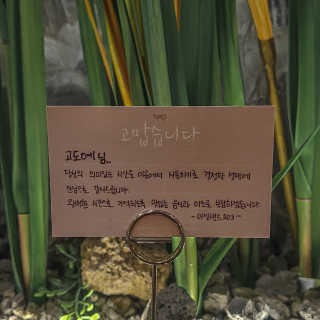 도예님이 올린 리뷰 사진 1