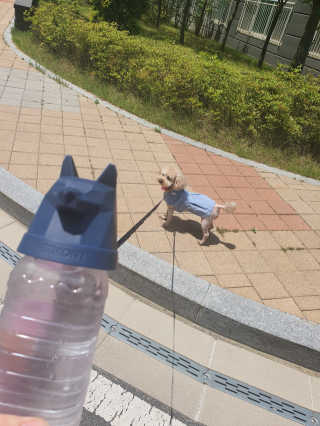 행복한코코네님이 올린 리뷰 사진 3