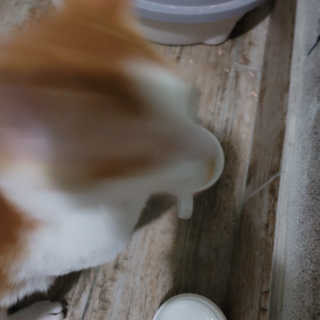 쓔리님이 올린 리뷰 사진 3