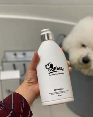 예민한 피부를 위한 코코몰리 All in one 자연유래 샴푸 — 5점을 준 리뷰어가 2020년 11월 올린 사용 사진