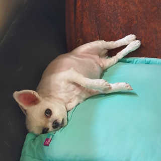 엣헴님이 올린 리뷰 사진 3