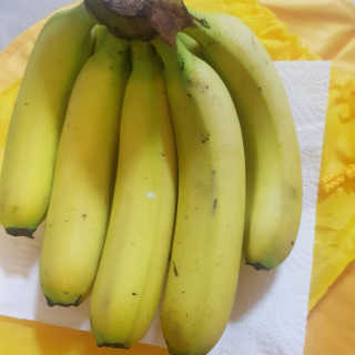 [스미후루] 감숙왕 바나나 2팩 2.6kg 이벤트 — 5점을 준 리뷰어가 2020년 10월 올린 사용 사진