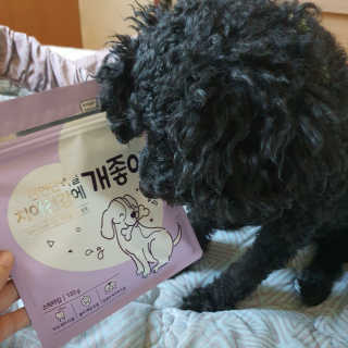 My Pet Care 천연단백질 치아건강에 개좋아 — 5점을 준 리뷰어가 2020년 11월 올린 사용 사진