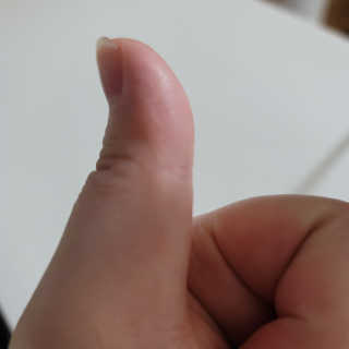 똥기사의 케이푸드 화이버슬림 — 5점을 준 리뷰어가 2020년 11월 올린 사용 사진
