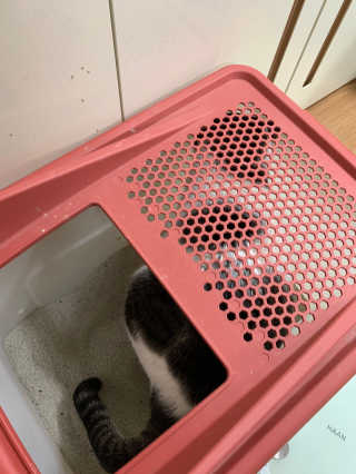 유뎡님이 올린 리뷰 사진 3