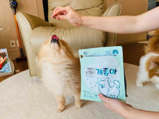 My Pet Care 천연단백질 눈건강에 개좋아 — 5점을 준 리뷰어가 2020년 12월 올린 사용 사진