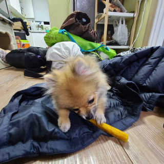 coolorweird님이 올린 리뷰 사진 4