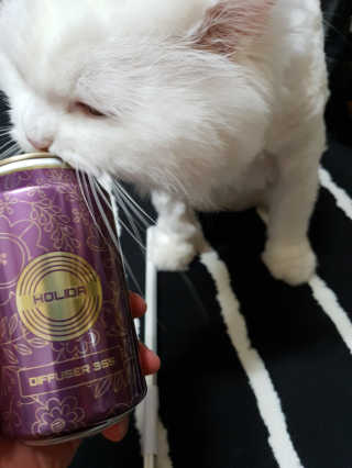 Woo7C님이 올린 리뷰 사진 3