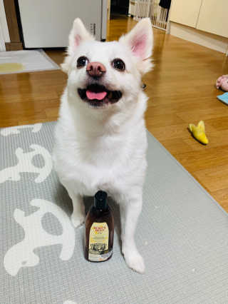 버츠비 케어플러스 릴리빙 컨디셔너_카모마일,로즈마리 — 5점을 준 리뷰어가 2020년 8월 올린 사용 사진