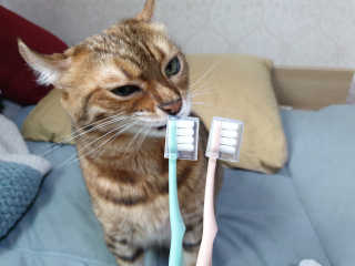 위드님이 올린 리뷰 사진 1