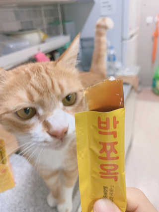 조은약초 국산 늙은 호박즙 호박쪼옥 젤리 20g x 15포 — 5점을 준 리뷰어가 2020년 9월 올린 사용 사진