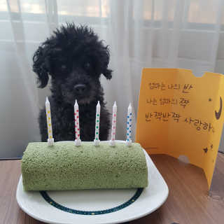 윙크하고아잉님이 올린 리뷰 사진 1