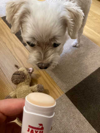 [레드허니밤]자유펫 고양이 강아지 발바닥 밤 14g — 4.5점을 준 리뷰어가 2020년 7월 올린 사용 사진