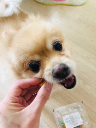 해피팡팡 고구마닭말이+고구마오리말이 [고구마간식2종] — 4.5점을 준 리뷰어가 2020년 4월 올린 사용 사진