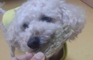햇님달님님이 올린 리뷰 사진 1