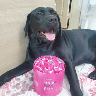 Lilly❤️님이 올린 리뷰 사진 1