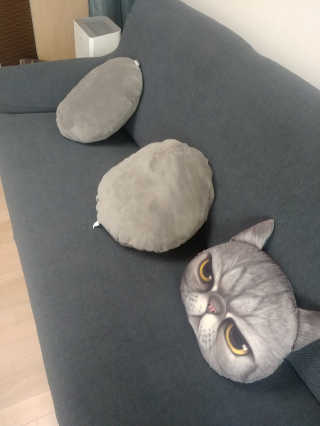 토토님이 올린 리뷰 사진 3