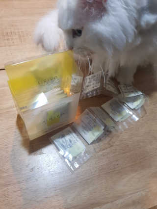 논지님이 올린 리뷰 사진 2