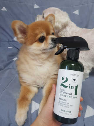 름이가리님이 올린 리뷰 사진 2