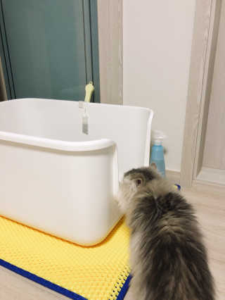 꼬끼오님이 올린 리뷰 사진 4
