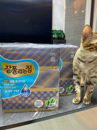 잘풀리는집 부드러운 모이스처 보습 미용 티슈 230매 — 4.5점을 준 리뷰어가 2020년 9월 올린 사용 사진