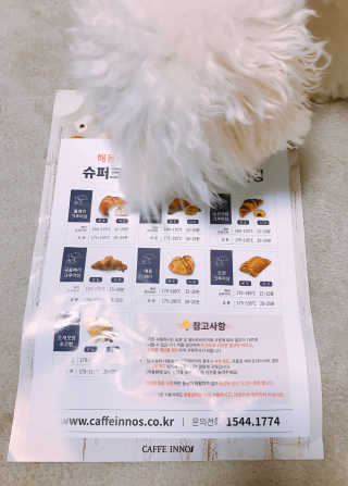 윤퍼플님이 올린 리뷰 사진 2