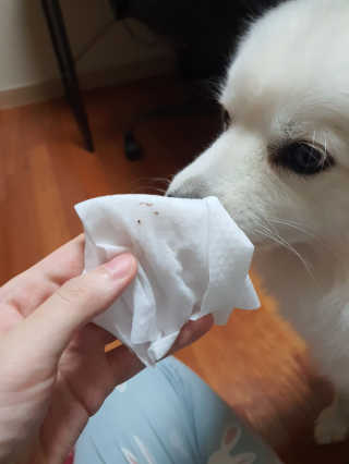 숙님이 올린 리뷰 사진 3