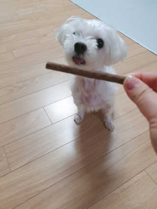 My Pet Care 천연단백질 치아건강에 개좋아 — 5점을 준 리뷰어가 2020년 12월 올린 사용 사진