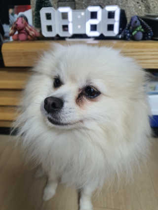 아찌님이 올린 리뷰 사진 3
