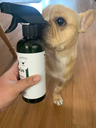 강아지스토리 2in1 강아지 애견 탈취제 400ml — 5점을 준 리뷰어가 2020년 5월 올린 사용 사진
