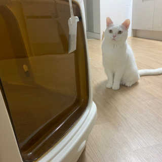 유짱님이 올린 리뷰 사진 1