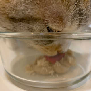 ooo님이 올린 리뷰 사진 4