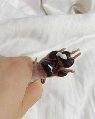 라라님이 올린 리뷰 사진 2