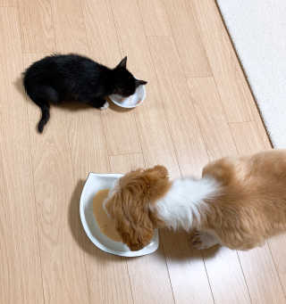 으나님이 올린 리뷰 사진 2