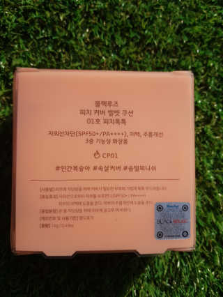 [블랙루즈] 피치 커버 벨벳 쿠션 2종 중 택1 — 5점을 준 리뷰어가 2020년 12월 올린 사용 사진