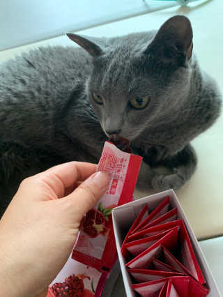 헬스업_쁘띠쁘띠석류콜라겐젤리_20g x 14포 — 4.5점을 준 리뷰어가 2020년 7월 올린 사용 사진