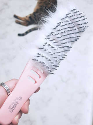 효니님이 올린 리뷰 사진 2
