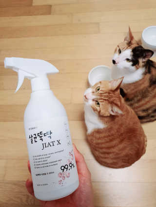 우정찡님이 올린 리뷰 사진 1