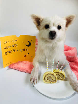 Lily님이 올린 리뷰 사진 1