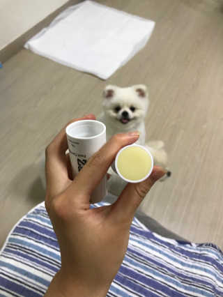 박소현님이 올린 리뷰 사진 1
