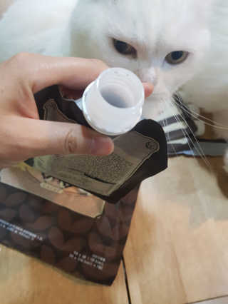 논지님이 올린 리뷰 사진 2