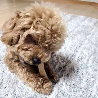 Hyunny님이 올린 리뷰 사진 3