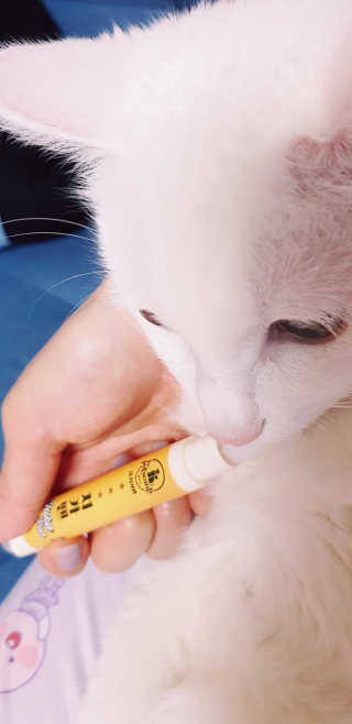 대박이님이 올린 리뷰 사진 1