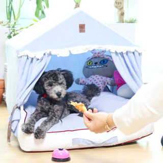 엄지콩님이 올린 리뷰 사진 4