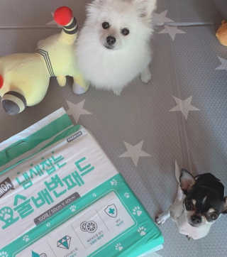 펭하하님이 올린 리뷰 사진 2