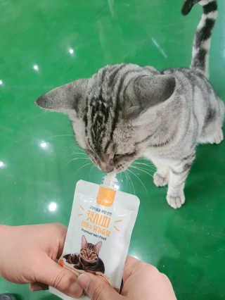 쭈니찌니님이 올린 리뷰 사진 4