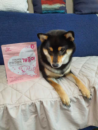 My Pet Care 천연단백질 관절건강에 개좋아 — 5점을 준 리뷰어가 2020년 12월 올린 사용 사진