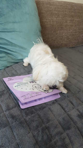 오늘하루님이 올린 리뷰 사진 4