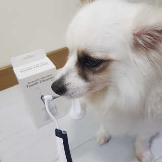 에일린님이 올린 리뷰 사진 3